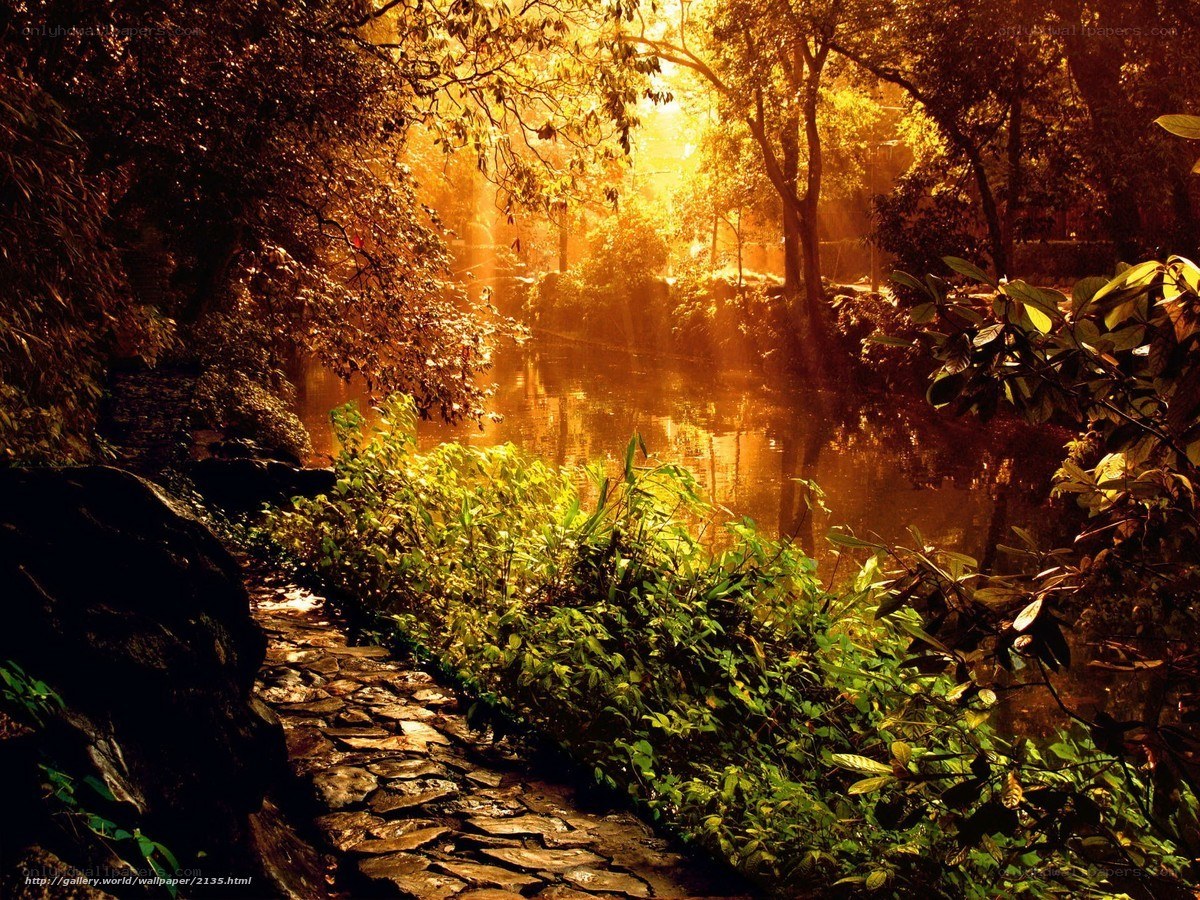 Sunlit path by the river