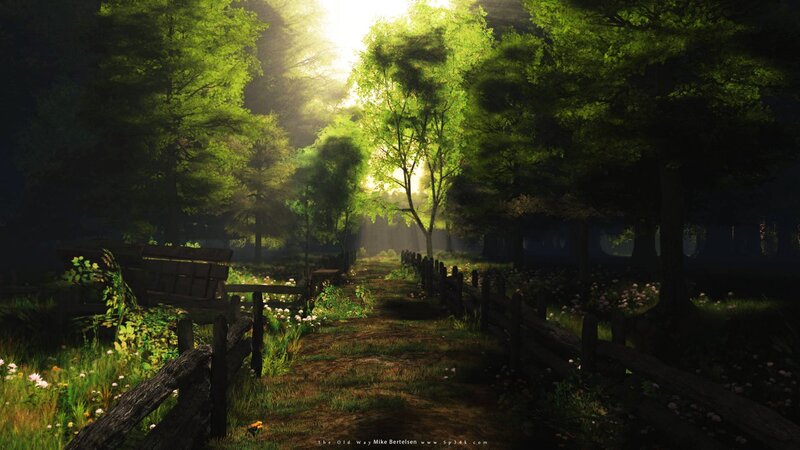 Sunlit path in a forest