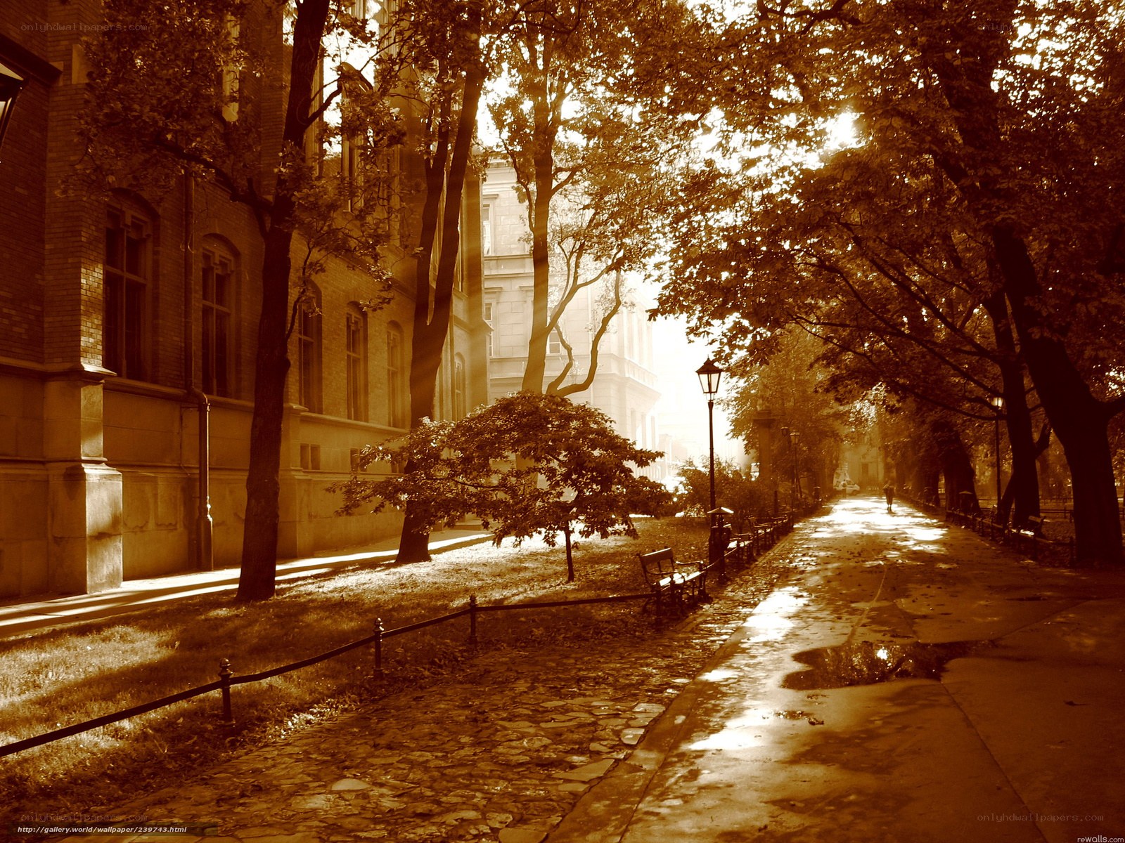 Sunlit path in autumn city