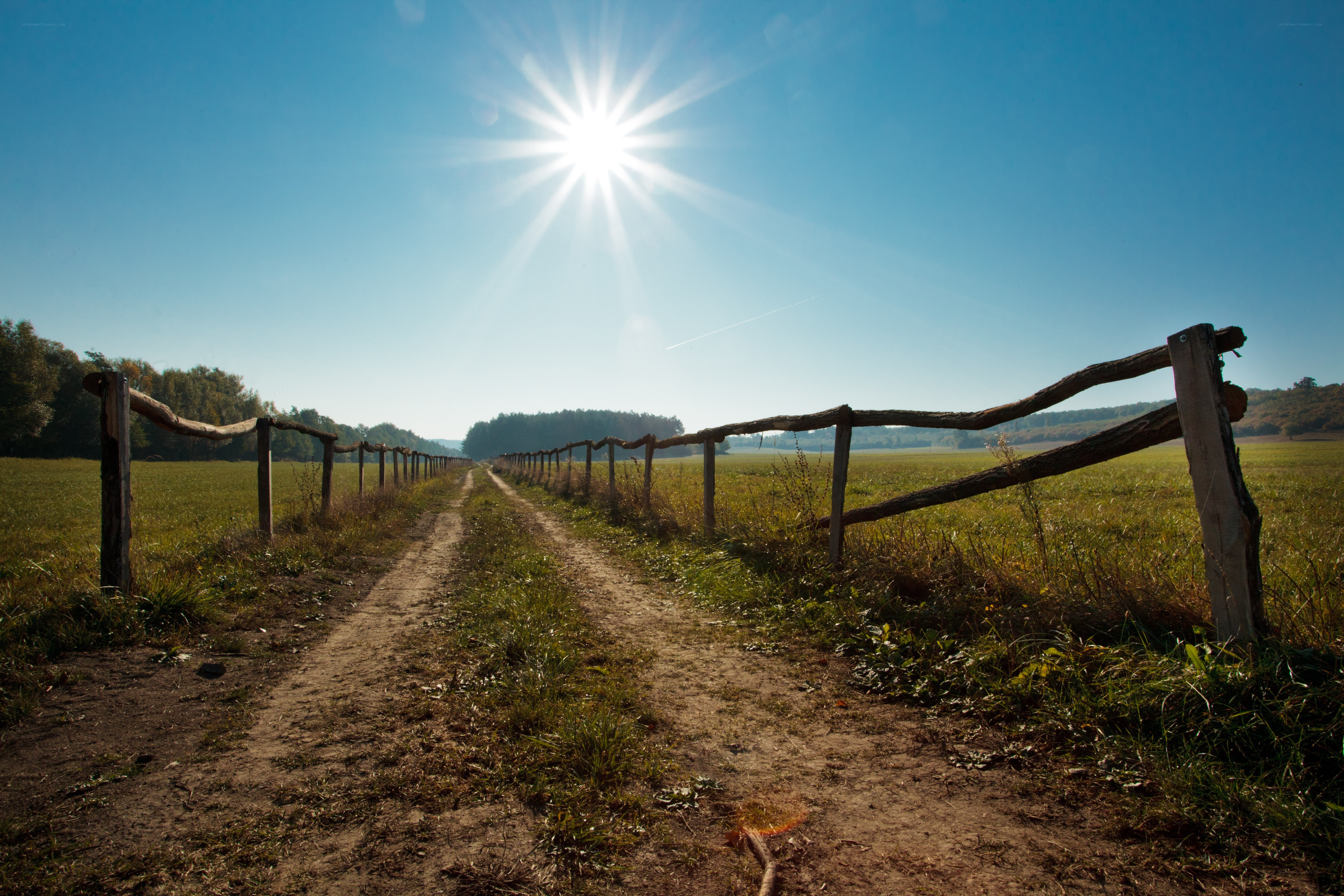 Sunlit path through a rural field