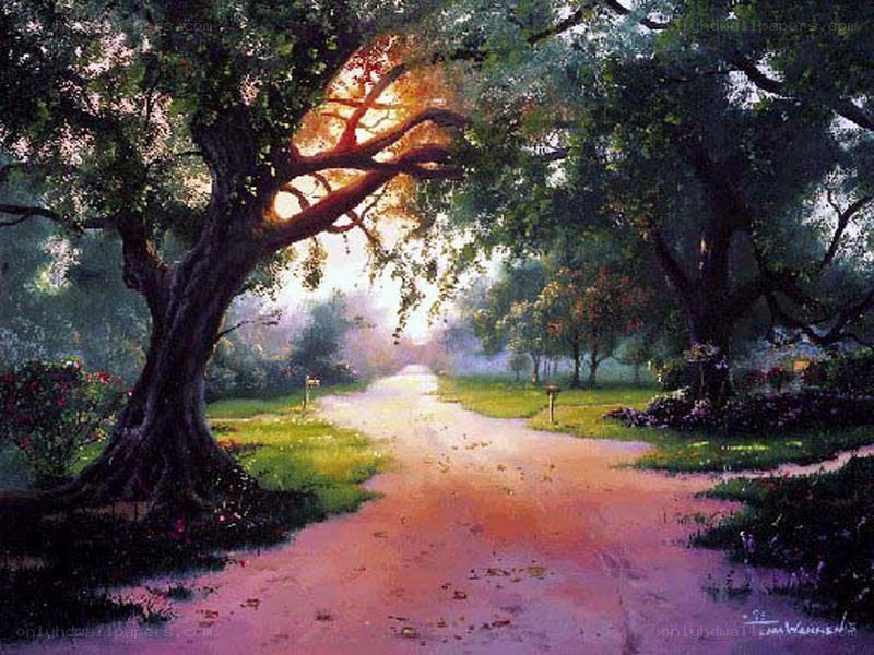 Sunlit path through a tree-lined park