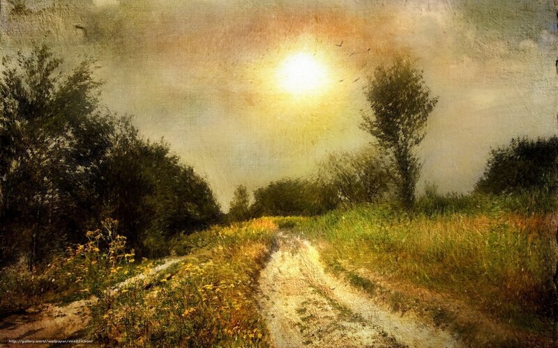 Sunlit Path Through Fields