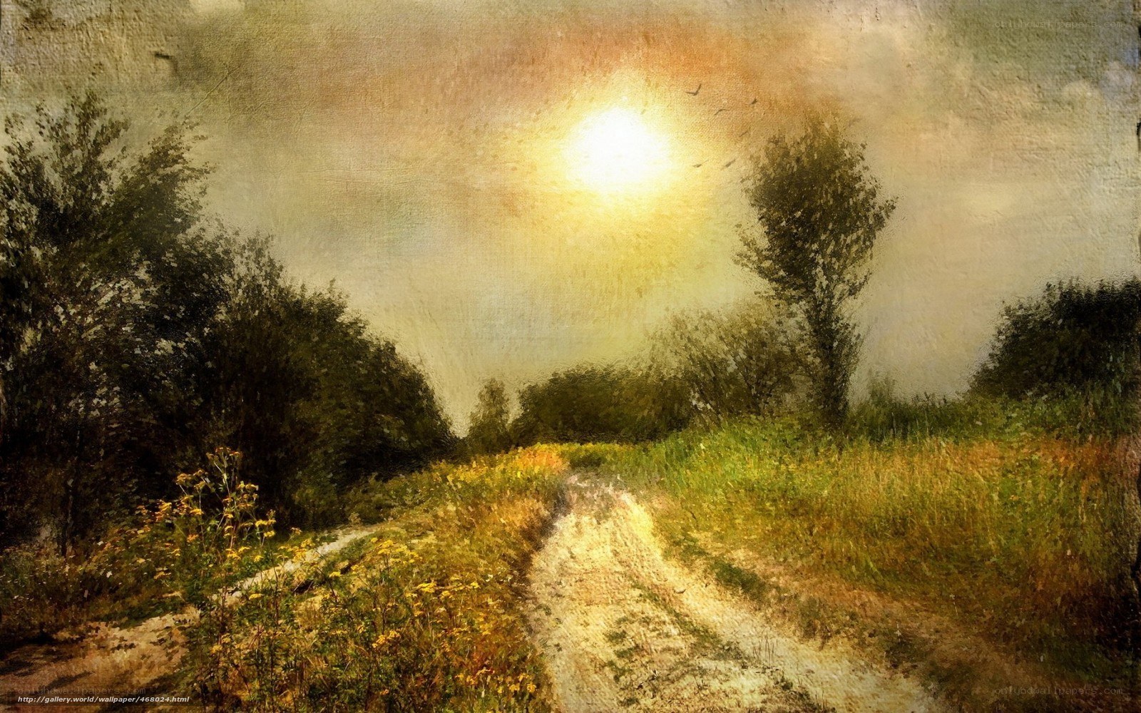 Sunlit Path Through Fields