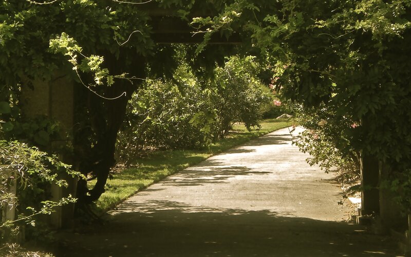 Sunlit path through green archway