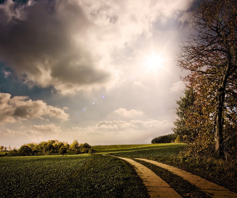 Sunlit path through green fields