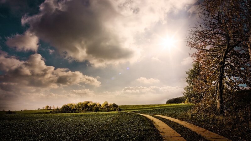 Sunlit path through green fields
