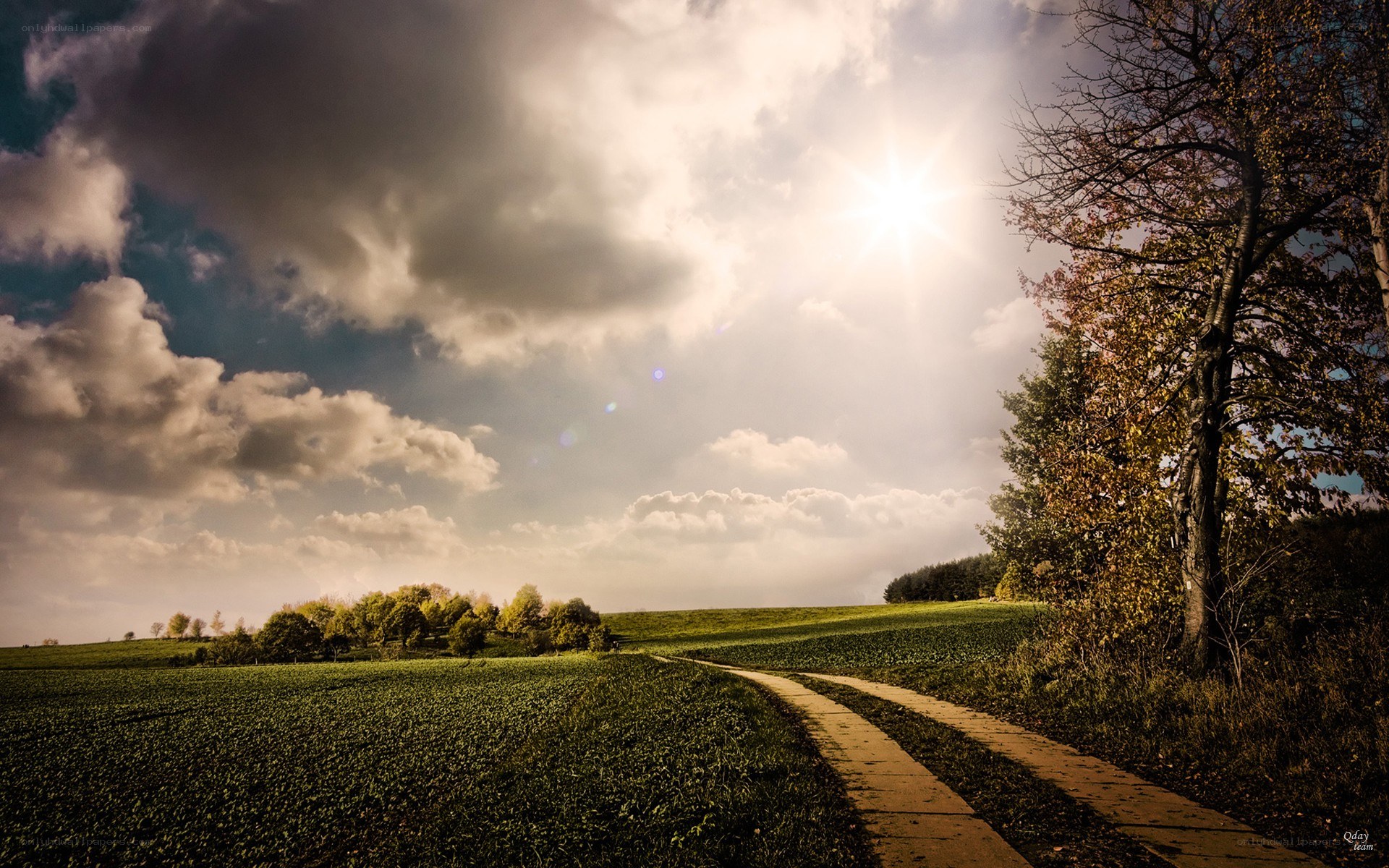 Sunlit path through green fields