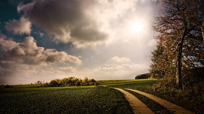 Sunlit path through green fields