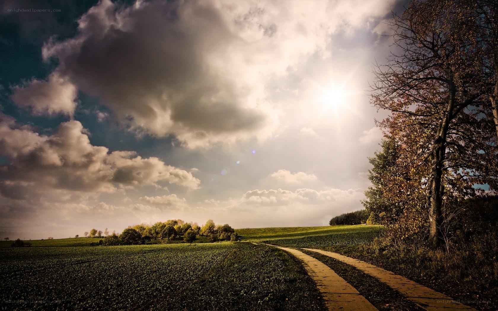 Sunlit path through green fields