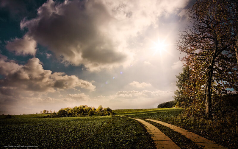 Sunlit path through green fields