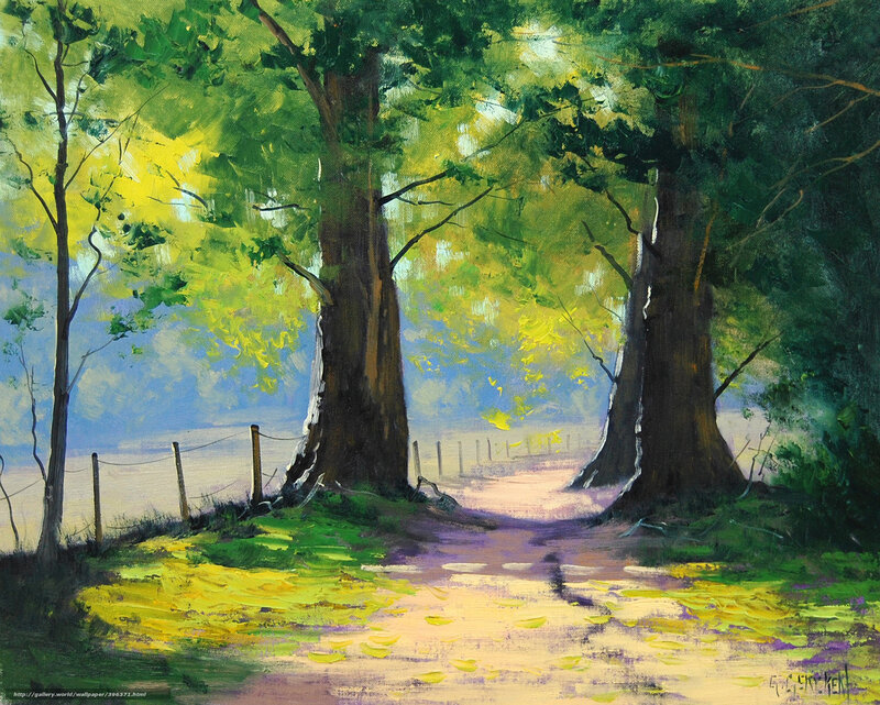 Sunlit Path Through Trees
