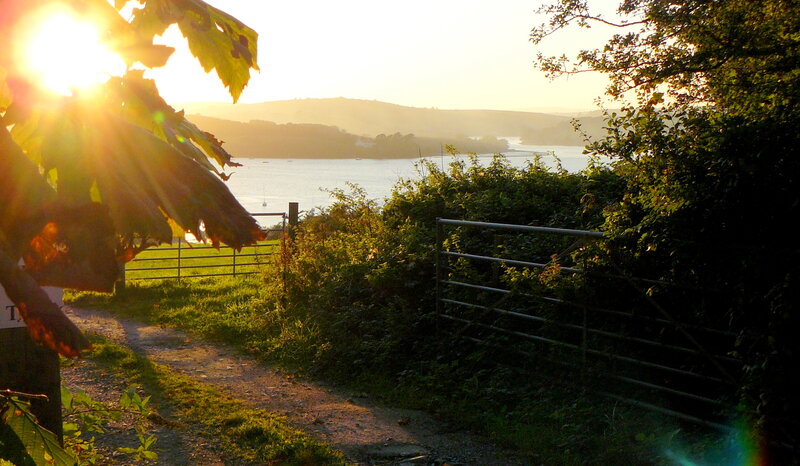 Sunlit Path to River
