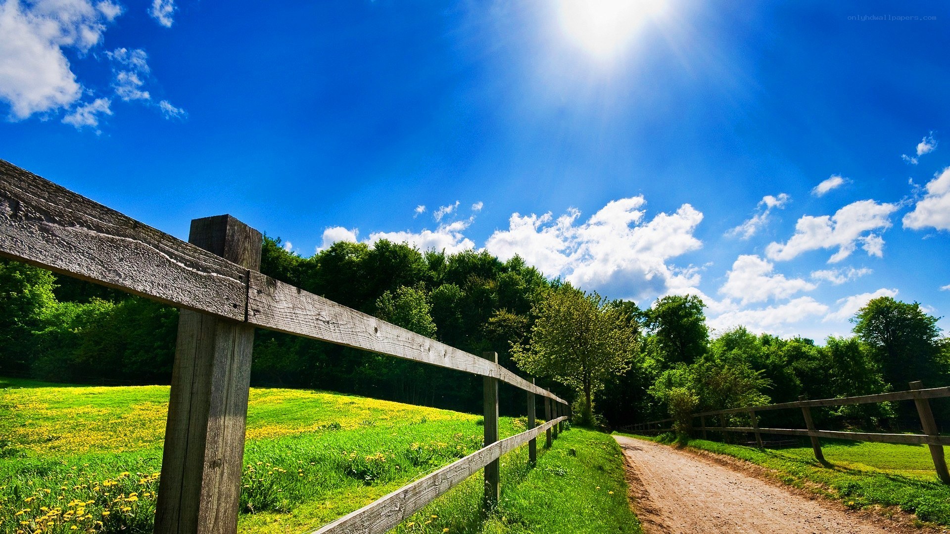 Sunlit path with wooden fence