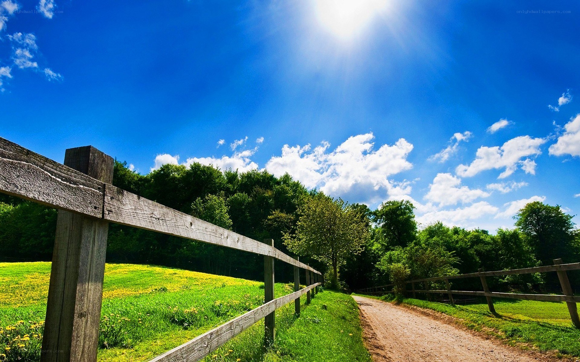 Sunlit path with wooden fence