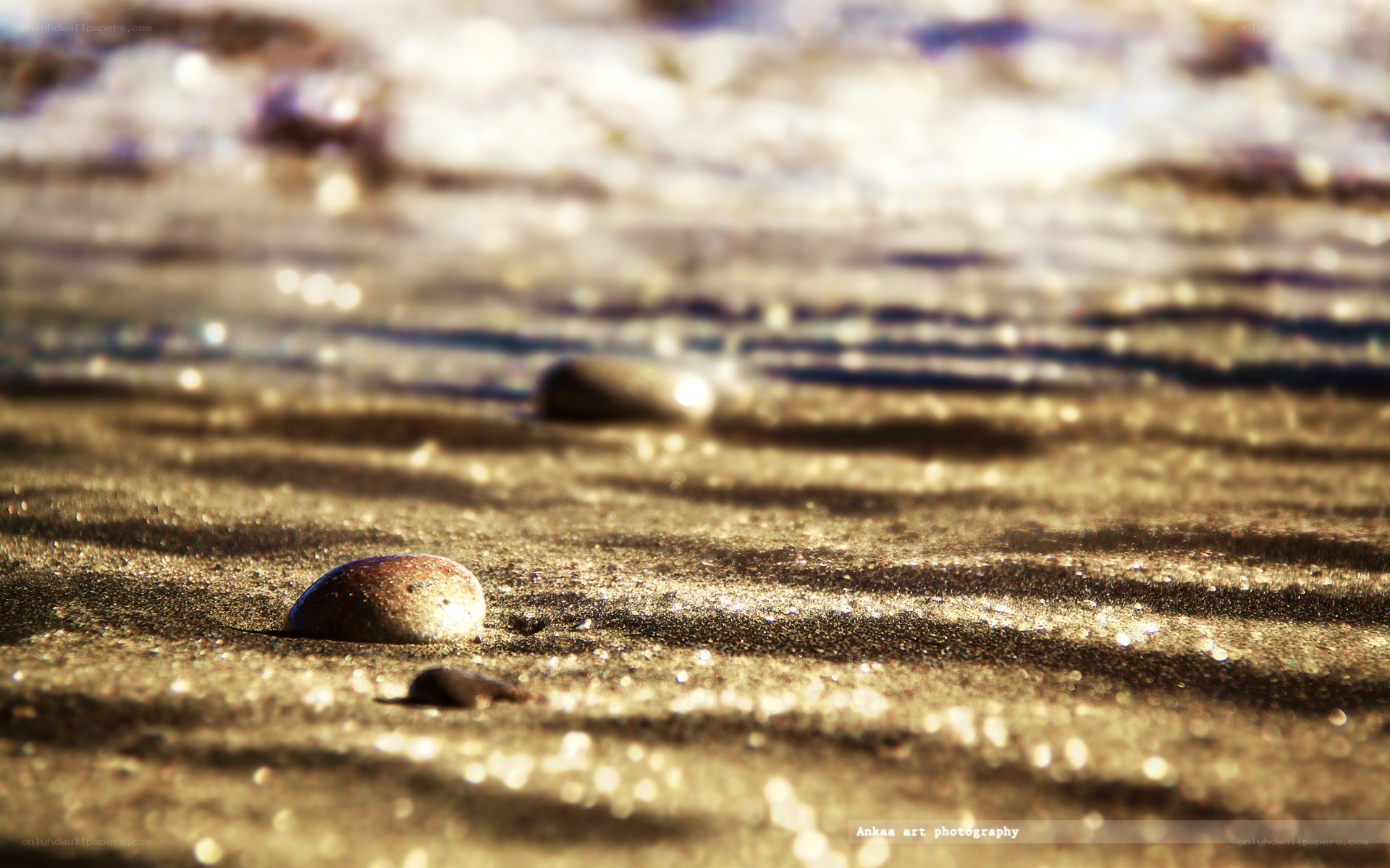Sunlit pebbles on wet sand
