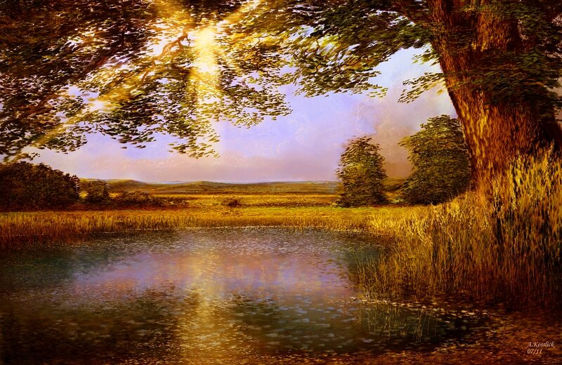 Sunlit Pond under Trees