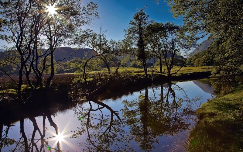 Sunlit river in a forest