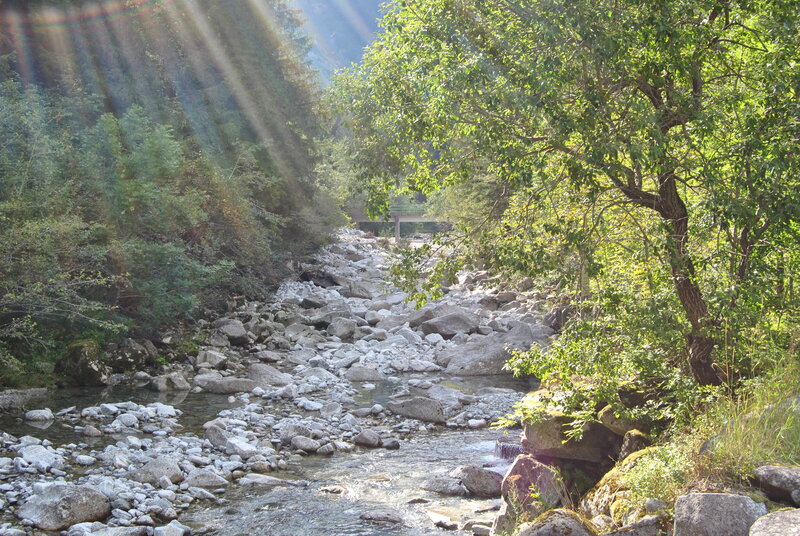 Sunlit river in a forested valley