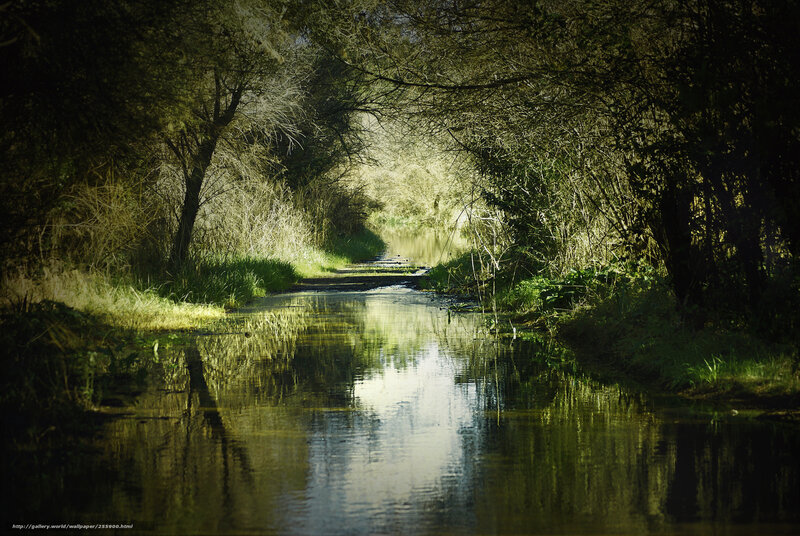 Sunlit river path