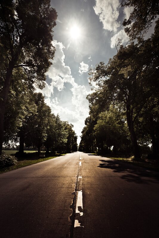 Sunlit road through a tree-lined avenue