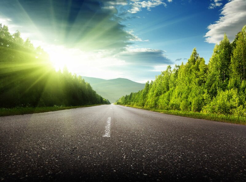 Sunlit road through green forest