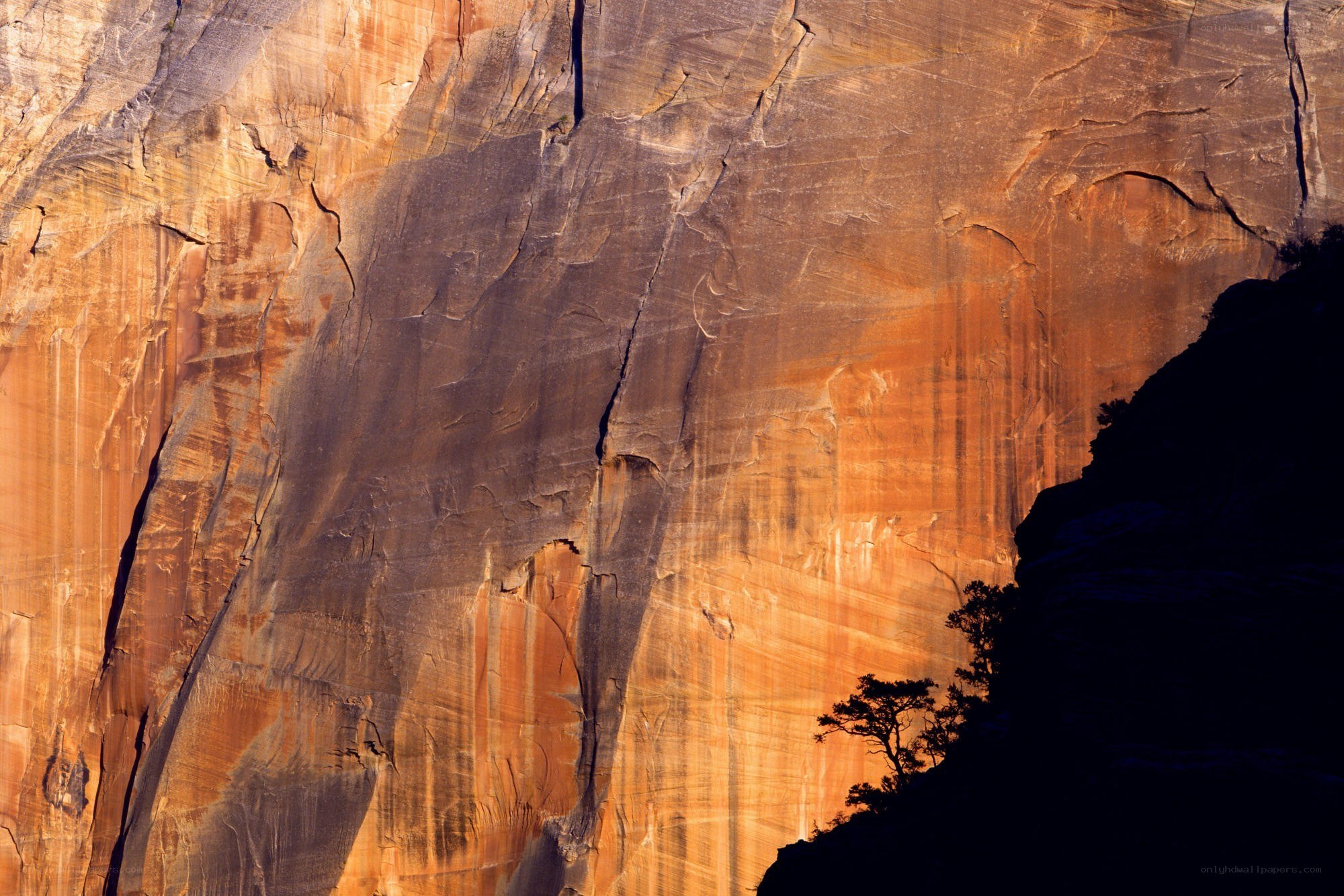 Sunlit rock face with tree silhouette