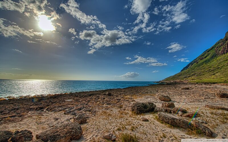 Sunlit rocky beach with ocean view