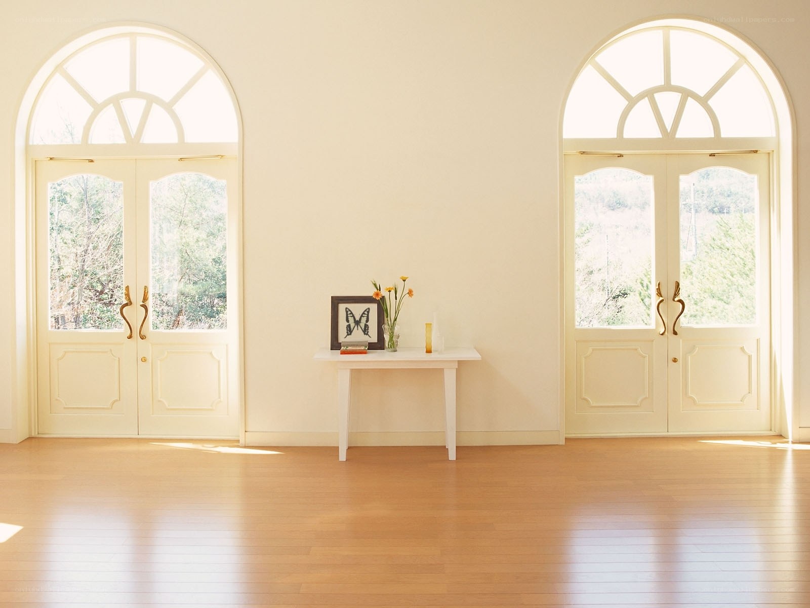 Sunlit room with arched doors