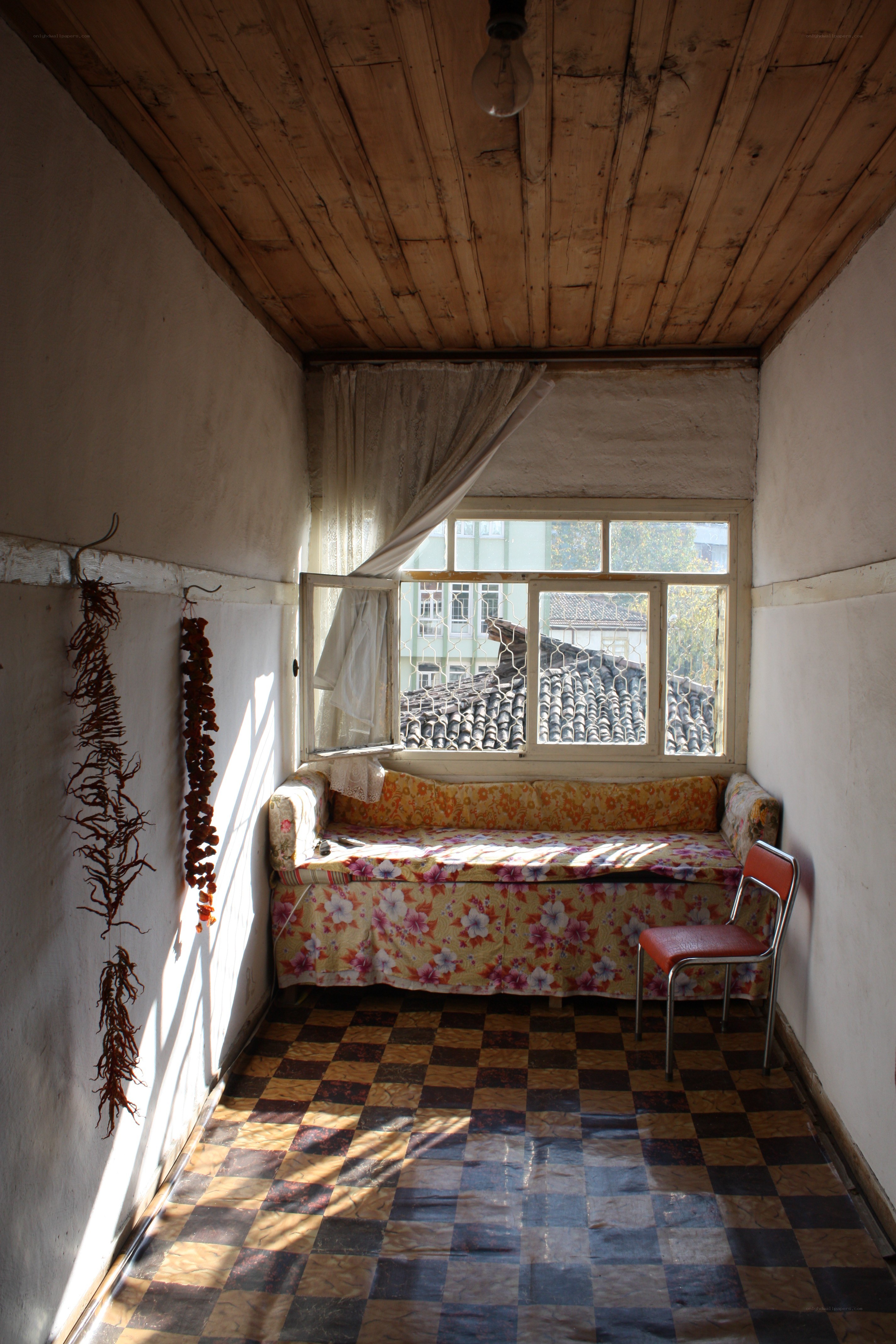 Sunlit room with floral sofa