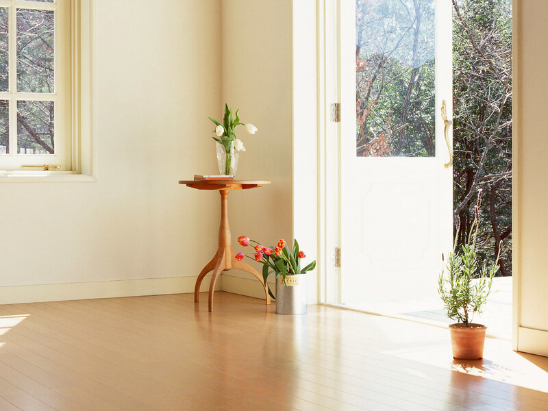 Sunlit room with flowers