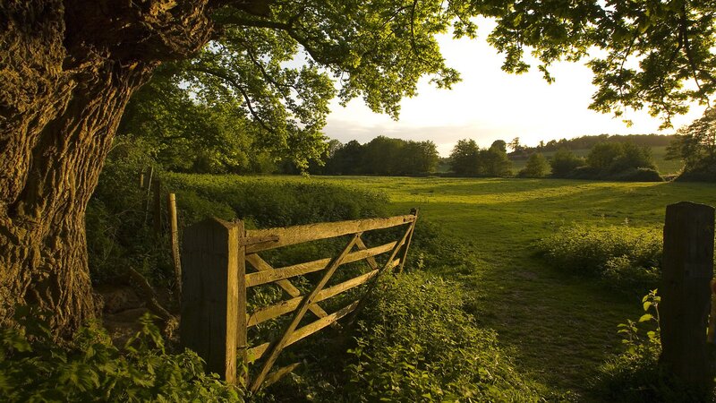 Sunlit rural gate and field
