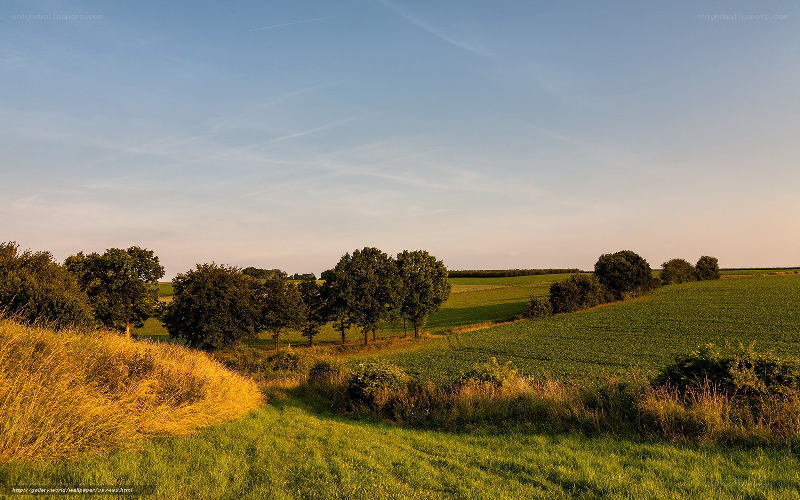 Sunlit rural landscape at dusk