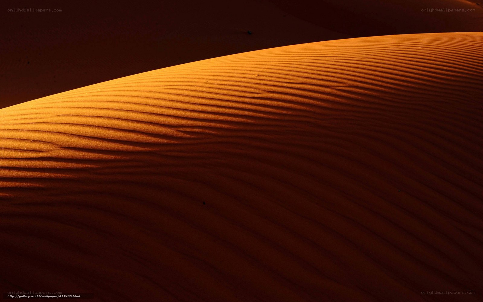 Sunlit sand dunes at dusk
