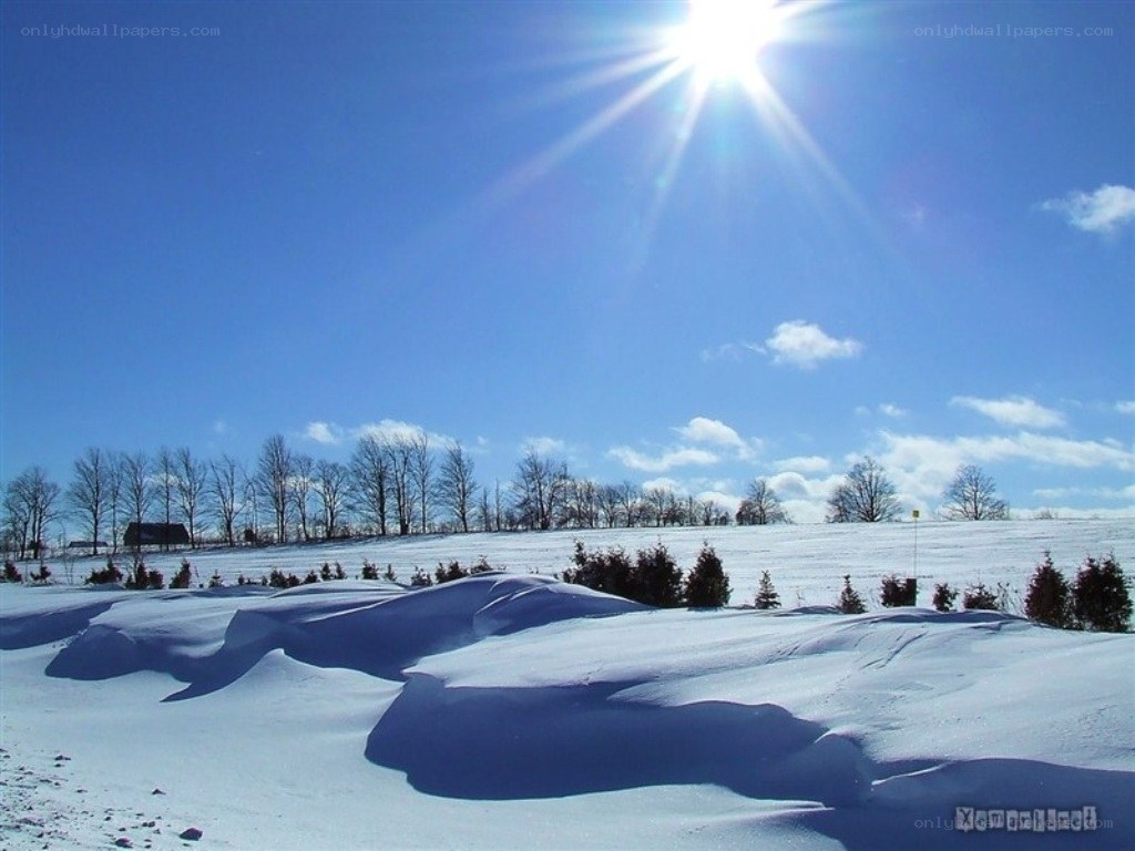 Sunlit snow-covered landscape