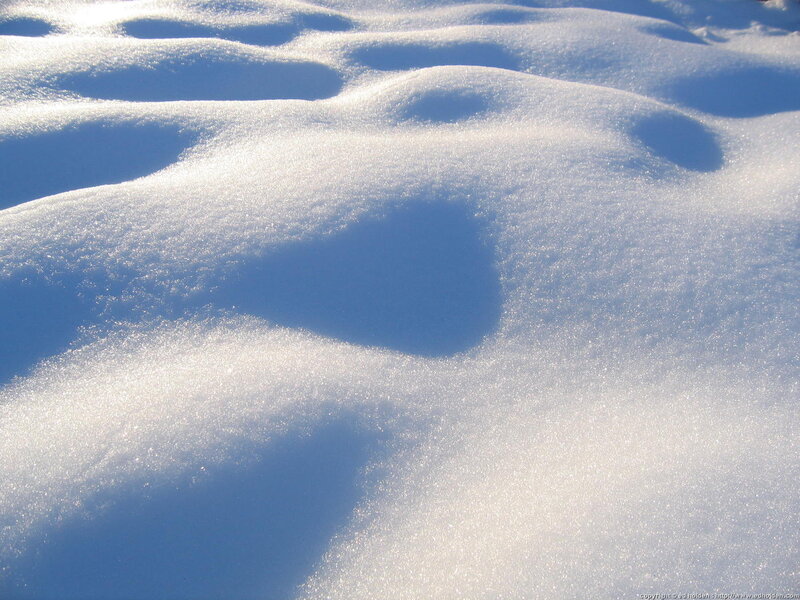 Sunlit snowdrifts
