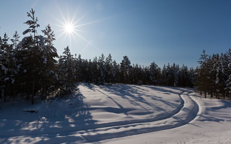 Sunlit snowy forest path