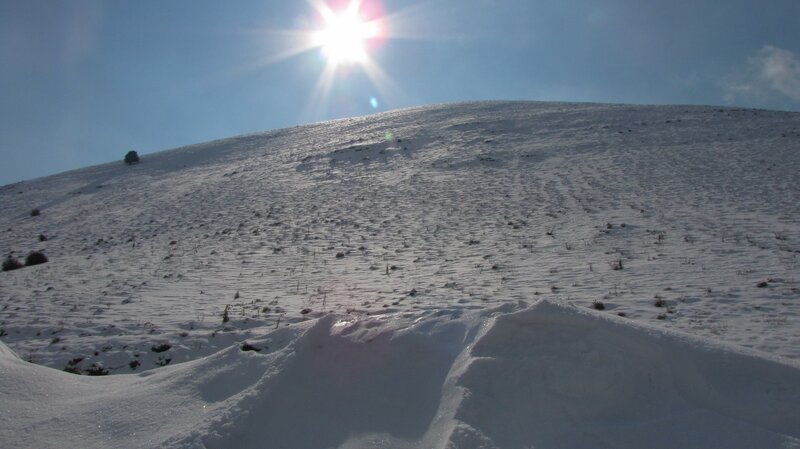 Sunlit snowy hillside