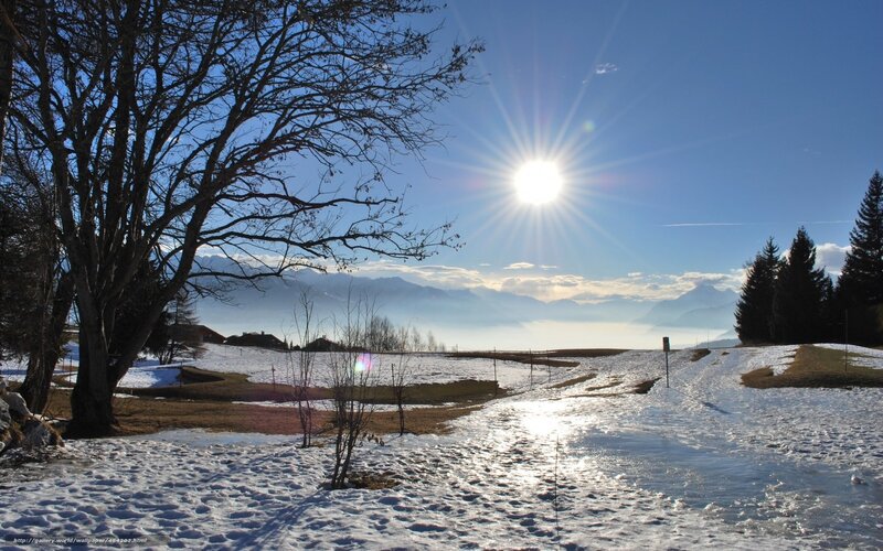 Sunlit Snowy Landscape