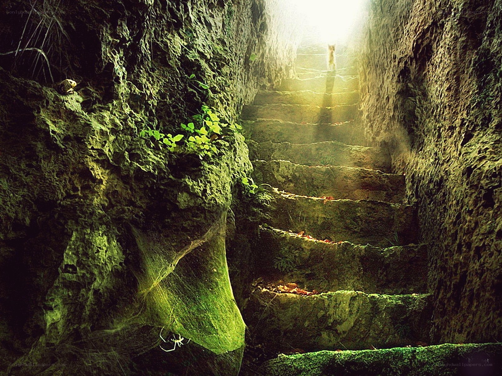 Sunlit stone stairs in a cave