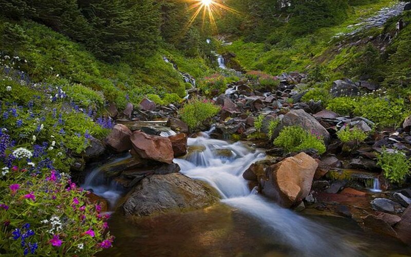 Sunlit stream in mountain valley