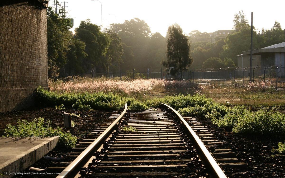 Sunlit train tracks at dawn