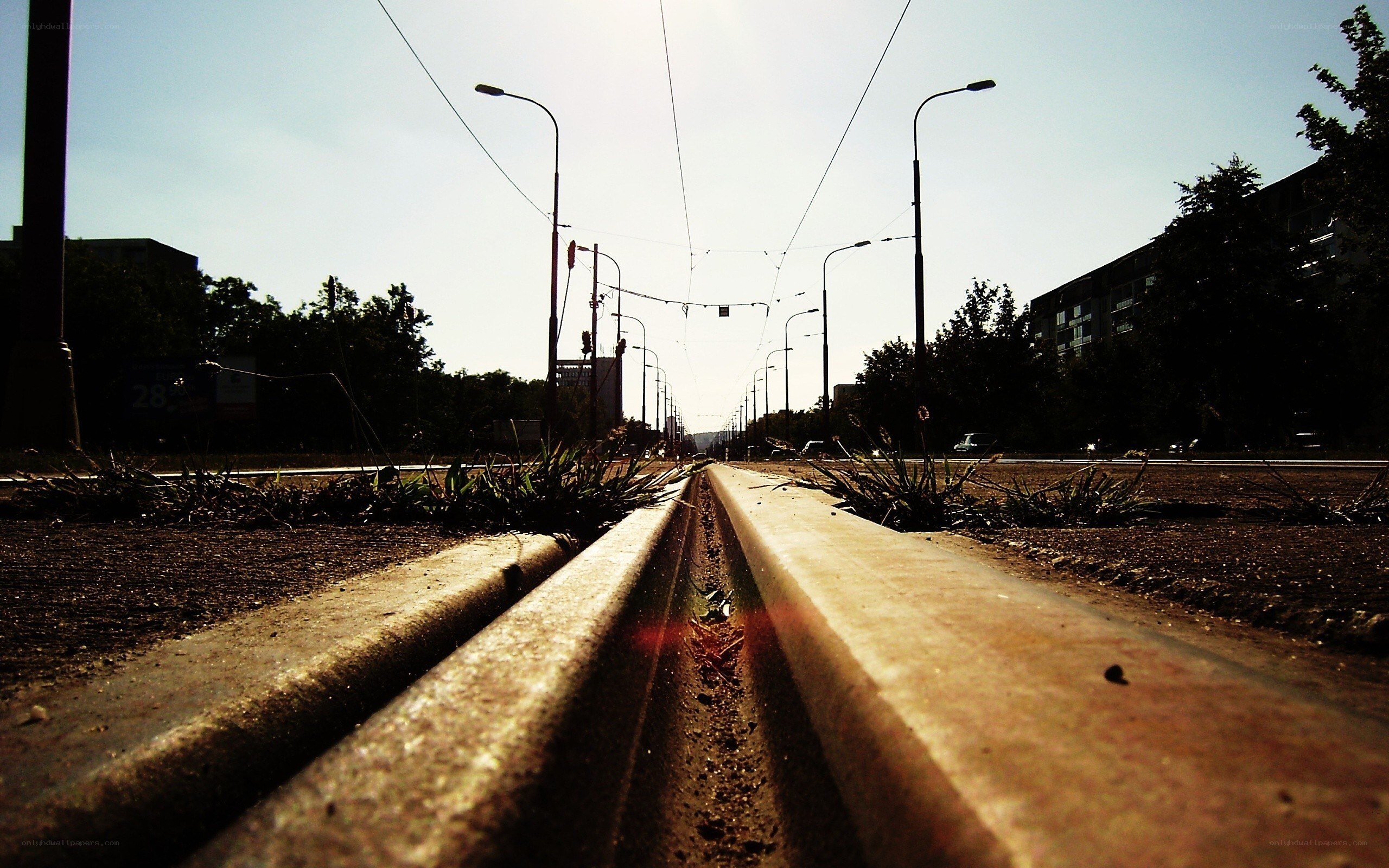 Sunlit tram tracks at dawn