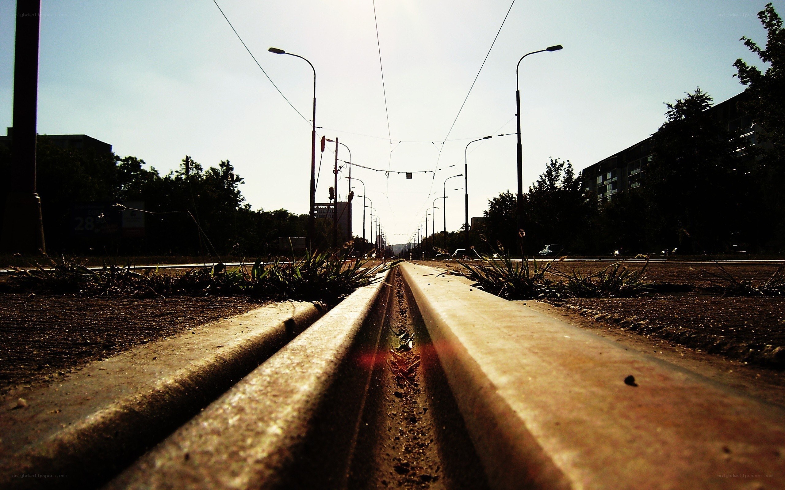 Sunlit tram tracks at dawn
