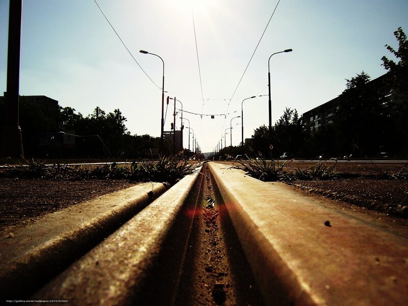Sunlit tram tracks