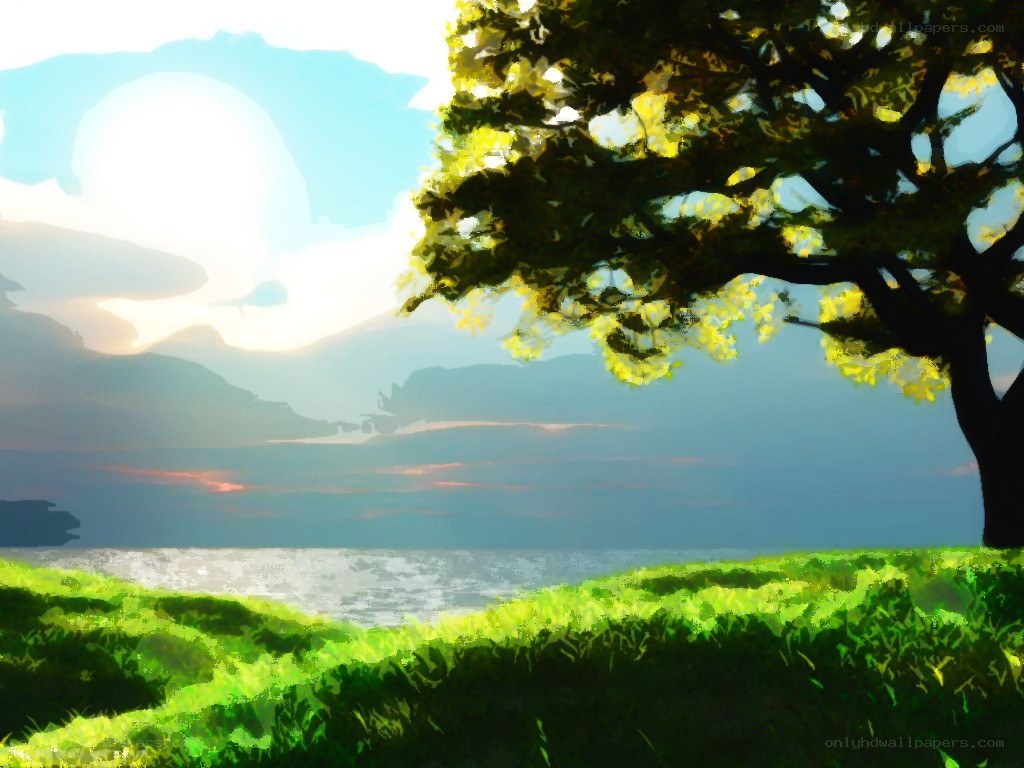 Sunlit tree by the sea