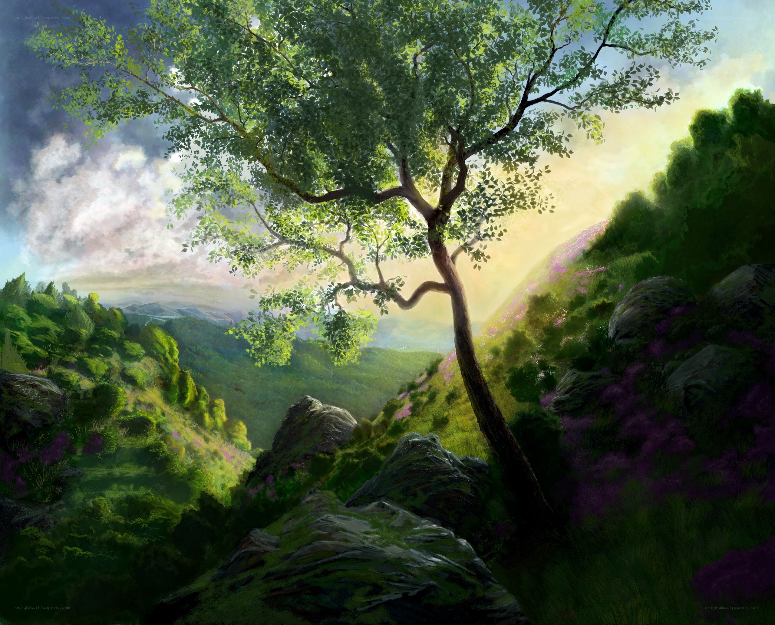 Sunlit tree in a green valley
