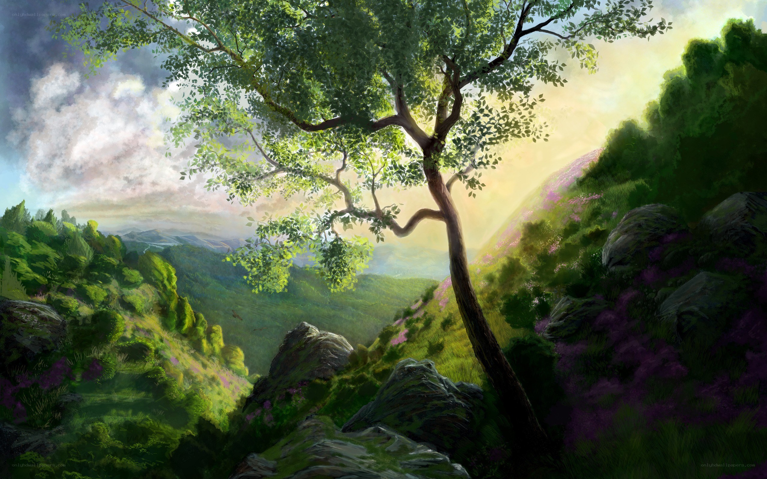 Sunlit tree in a green valley