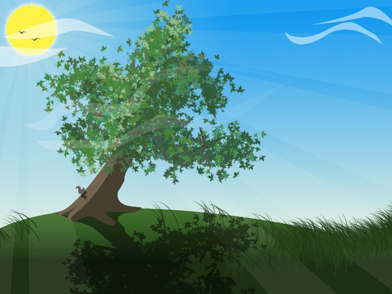 Sunlit tree on a hill