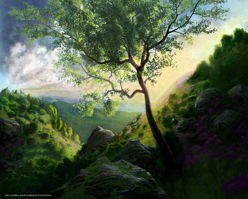 Sunlit tree on a mountain slope