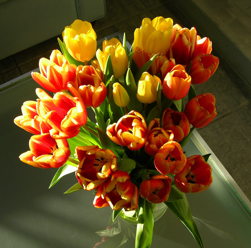 Sunlit tulip bouquet